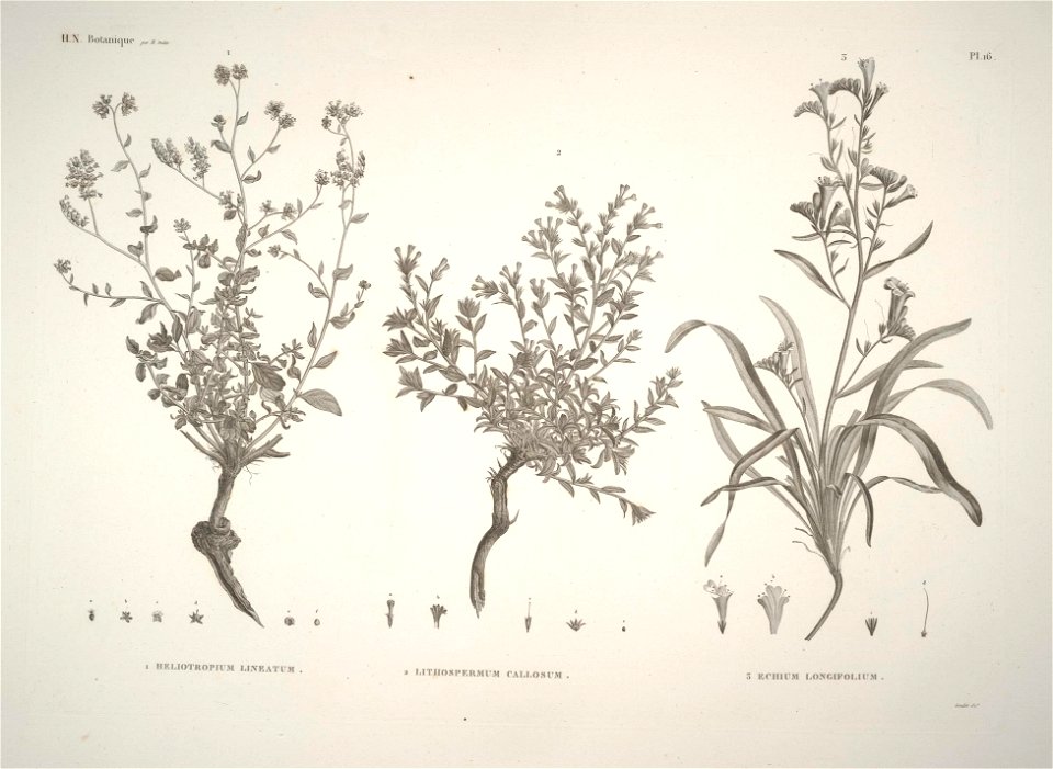 n14_w1150
