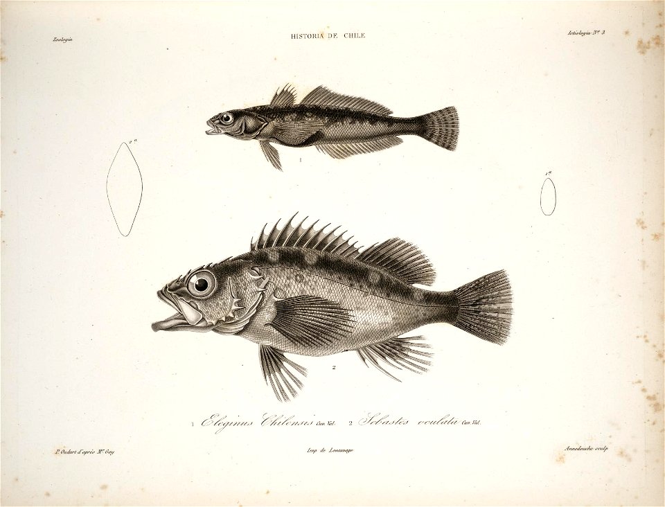 n40_w1150
