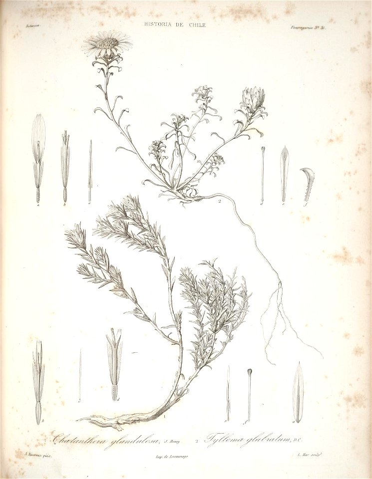 n115_w1150