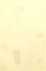 n404_w1150