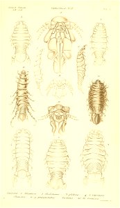 n306_w1150