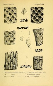 n172_w1150