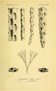 n112_w1150