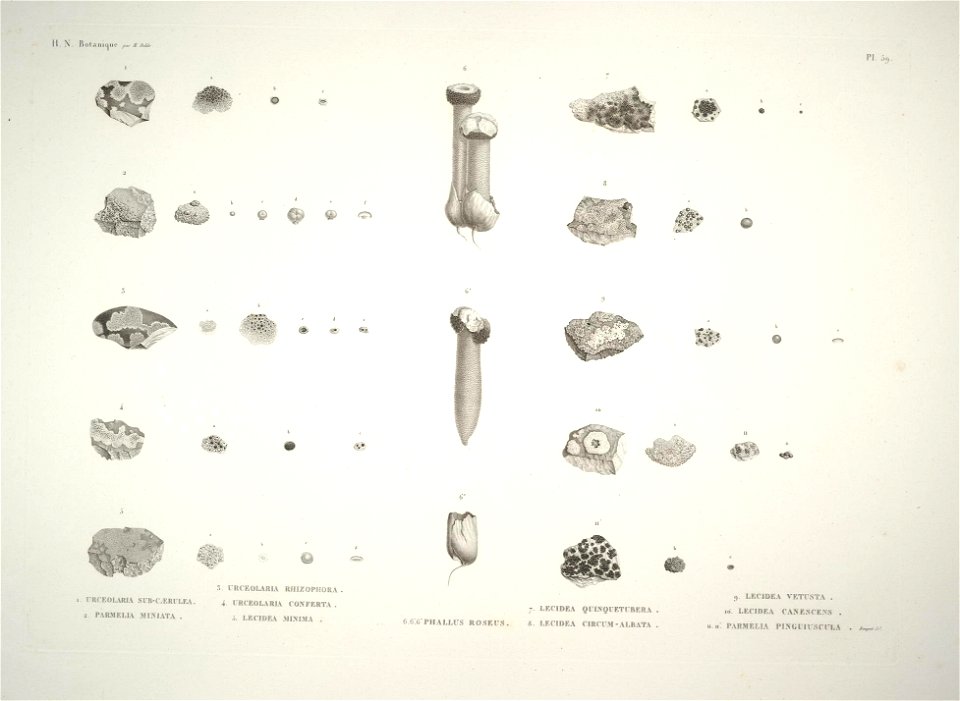 n58_w1150