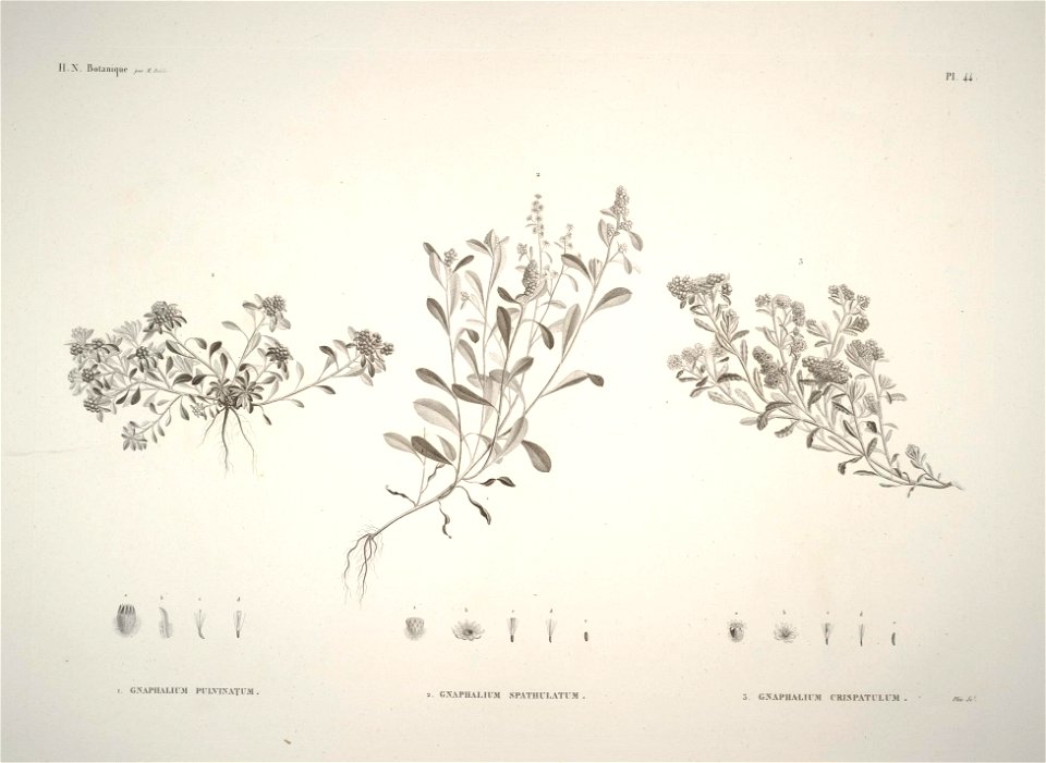 n43_w1150