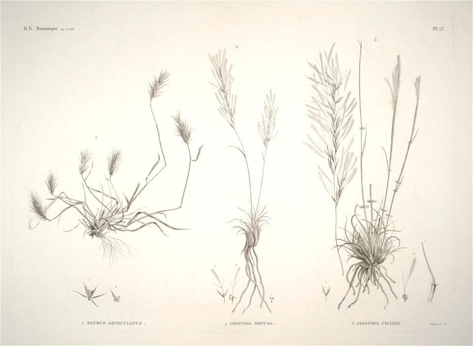 n13_w1150