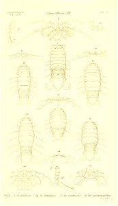 n108_w1150