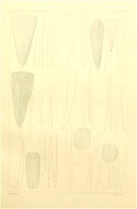 n400_w1150