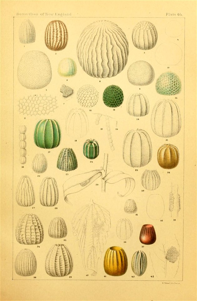 n456_w1150
