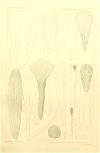 n396_w1150