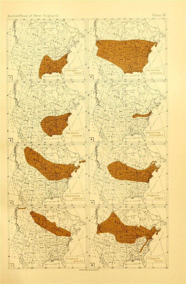 n276_w1150