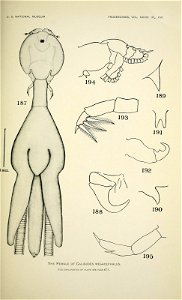 n476_w1150