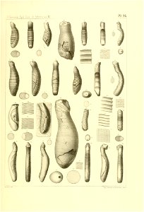 n392_w1150