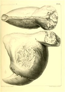 n272_w1150