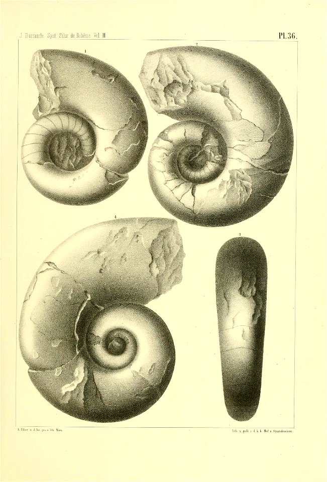 n152_w1150