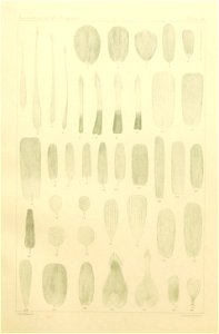 n384_w1150