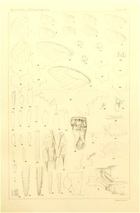 n444_w1150