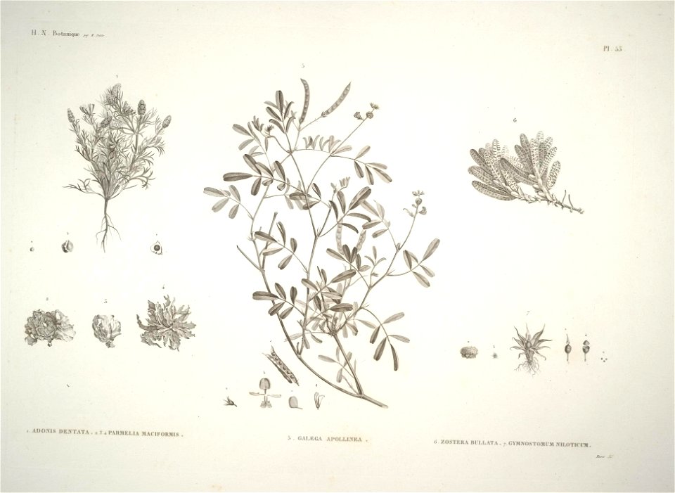 n52_w1150