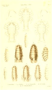 n416_w1150