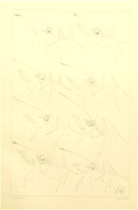 n412_w1150