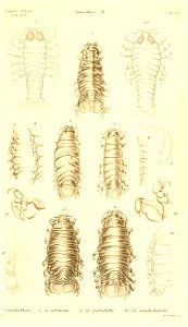 n414_w1150