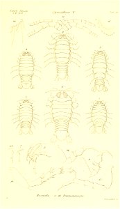 n112_w1150