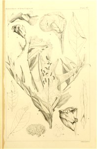 n526_w1150