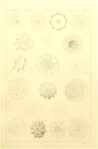 n466_w1150