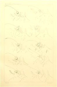 n408_w1150