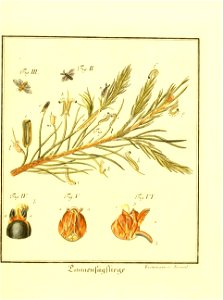 n578_w1150