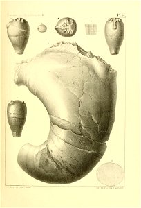 n276_w1150