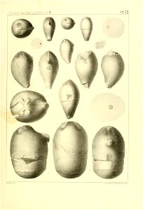 n216_w1150
