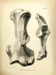 n222_w1150