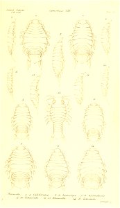 n298_w1150