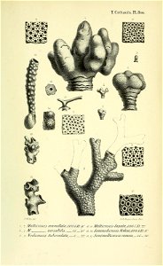 n406_w1150