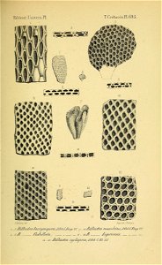 n196_w1150