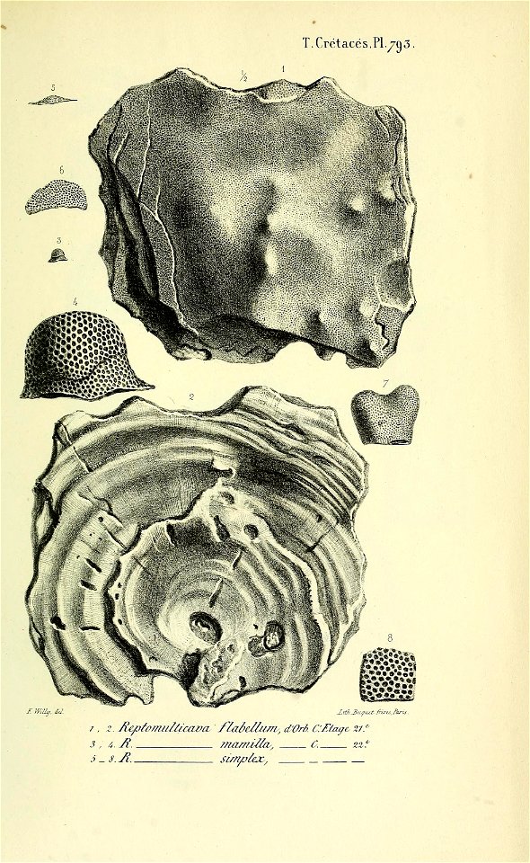 n392_w1150