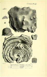 n392_w1150