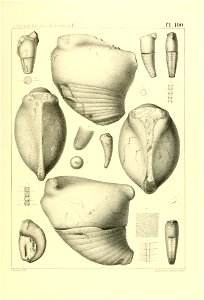 n408_w1150