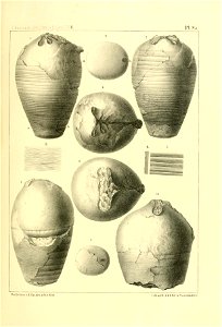 n348_w1150