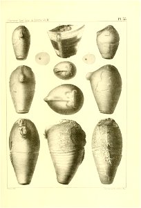 n228_w1150