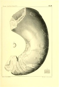 n168_w1150