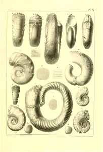 n108_w1150
