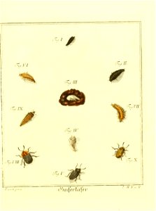n576_w1150