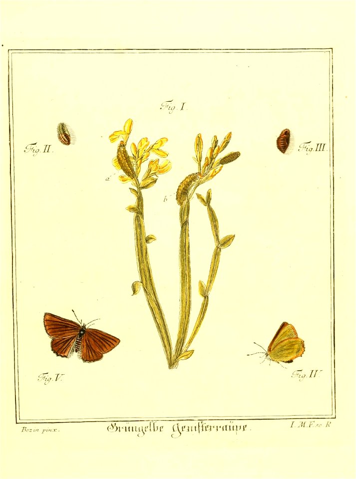 n574_w1150