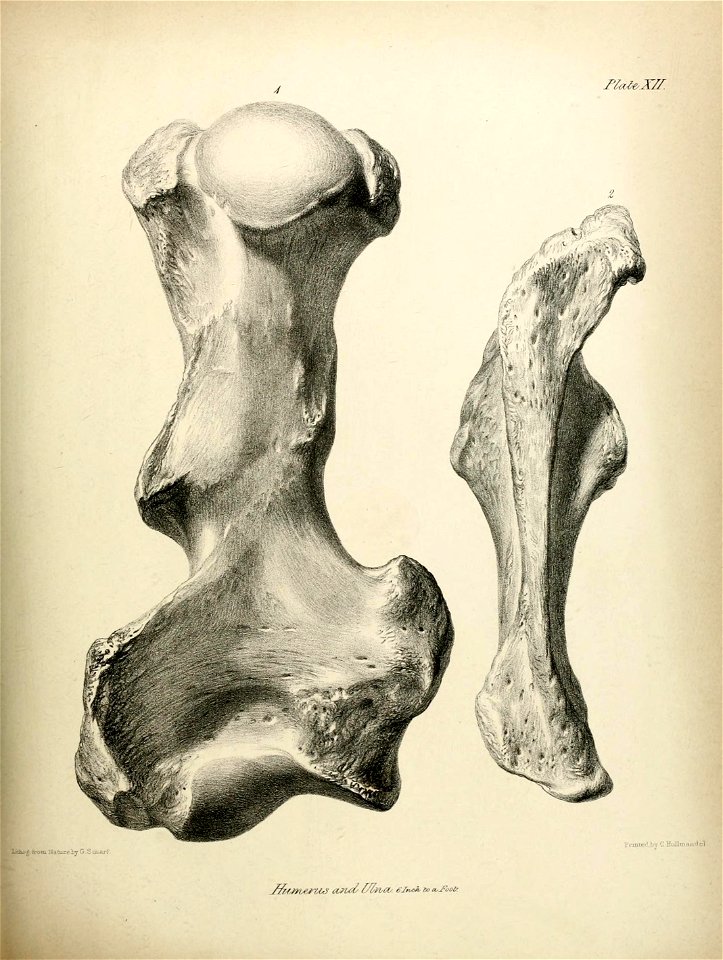 n226_w1150