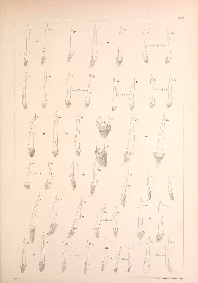 n138_w1150