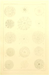 n474_w1150