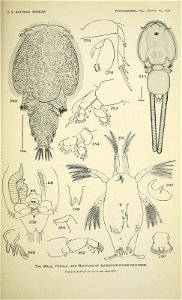 n494_w1150