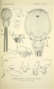 n490_w1150